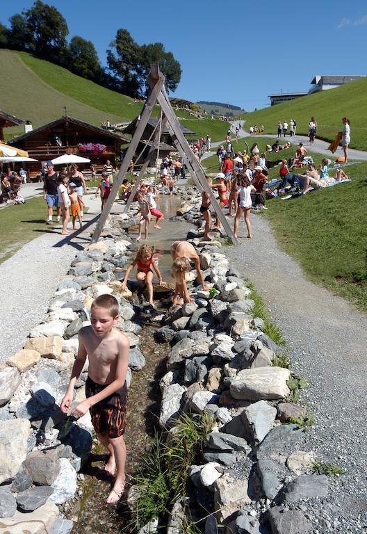 Gasthof Pension Lanzenhof Going am Wilden Kaiser المظهر الخارجي الصورة